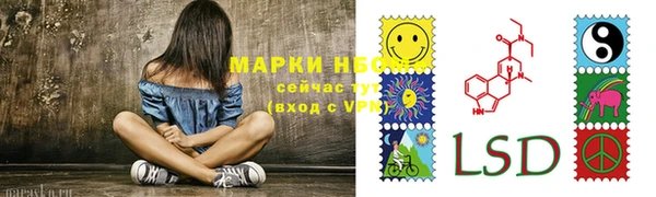стафф Гусев