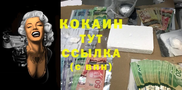 шишки Аксай