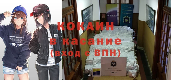 шишки Аксай
