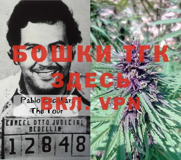 шишки Аксай