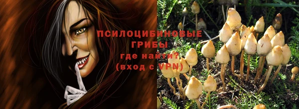 прущие крисы Алапаевск