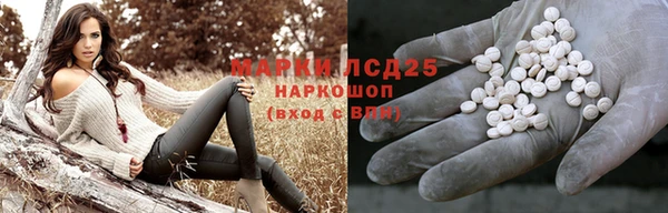 трава Медвежьегорск