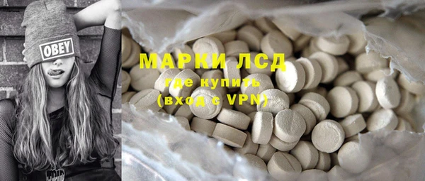 трава Медвежьегорск