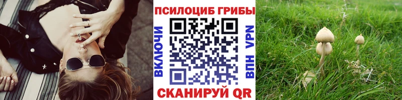 Псилоцибиновые грибы GOLDEN TEACHER Духовщина